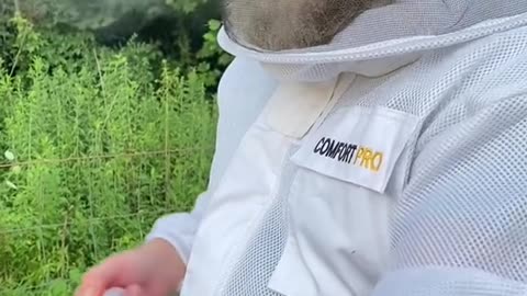 Electro culture with Bees