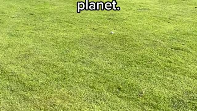 Walking up to my breakfast ball after confirming that I sliced my first drive off theplanet.