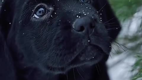 So cute!