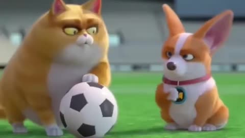 DOG and CAT PLaying Football