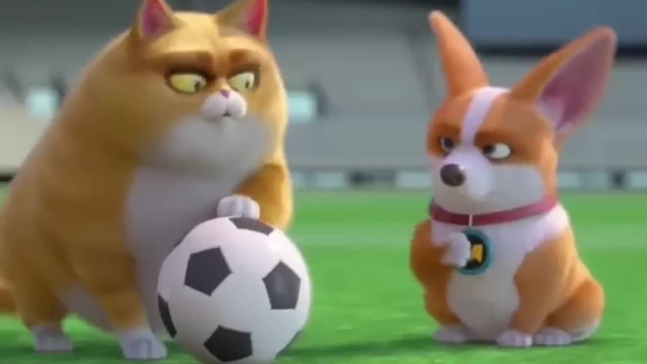 DOG and CAT PLaying Football