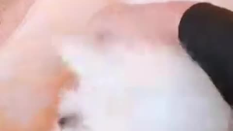 20181122文贵先生视频：应很多战友的要求．录一个SNOW小视频！祝大家感恩节快乐！