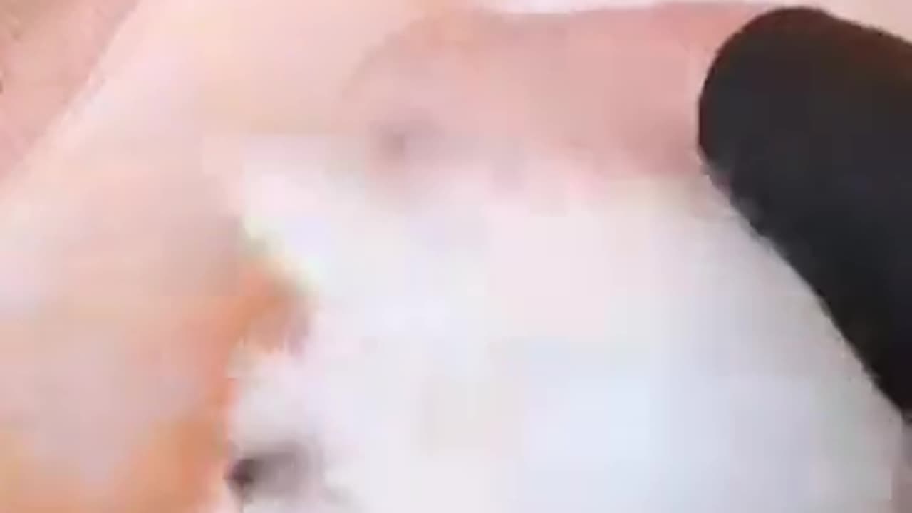 20181122文贵先生视频：应很多战友的要求．录一个SNOW小视频！祝大家感恩节快乐！