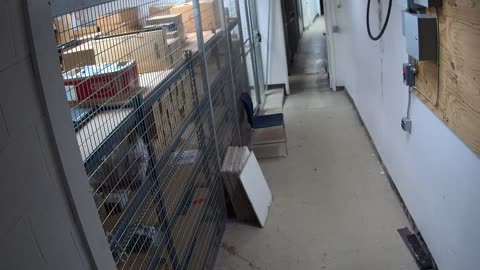 1072RSOBBASRB31QTunnelRearDoors_2021-01-05_20h20min01s713ms.mp4