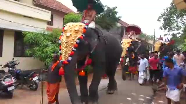 Elephant attack