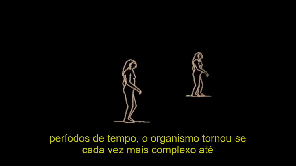 EP08 Elos perdidos da evolução humana