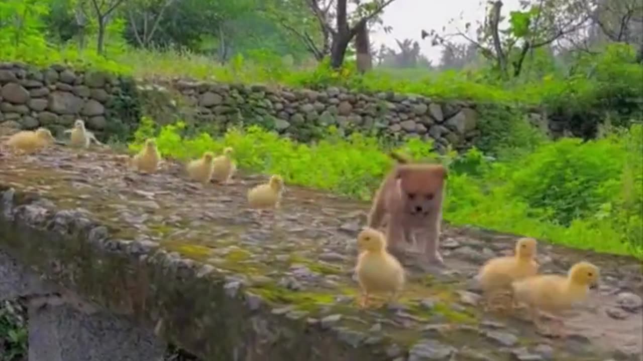 So Adorable