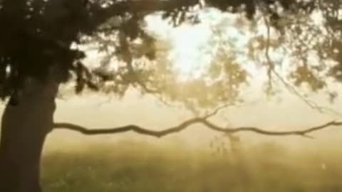9 Sign's That You Are Chosen one | Chosen Sign's