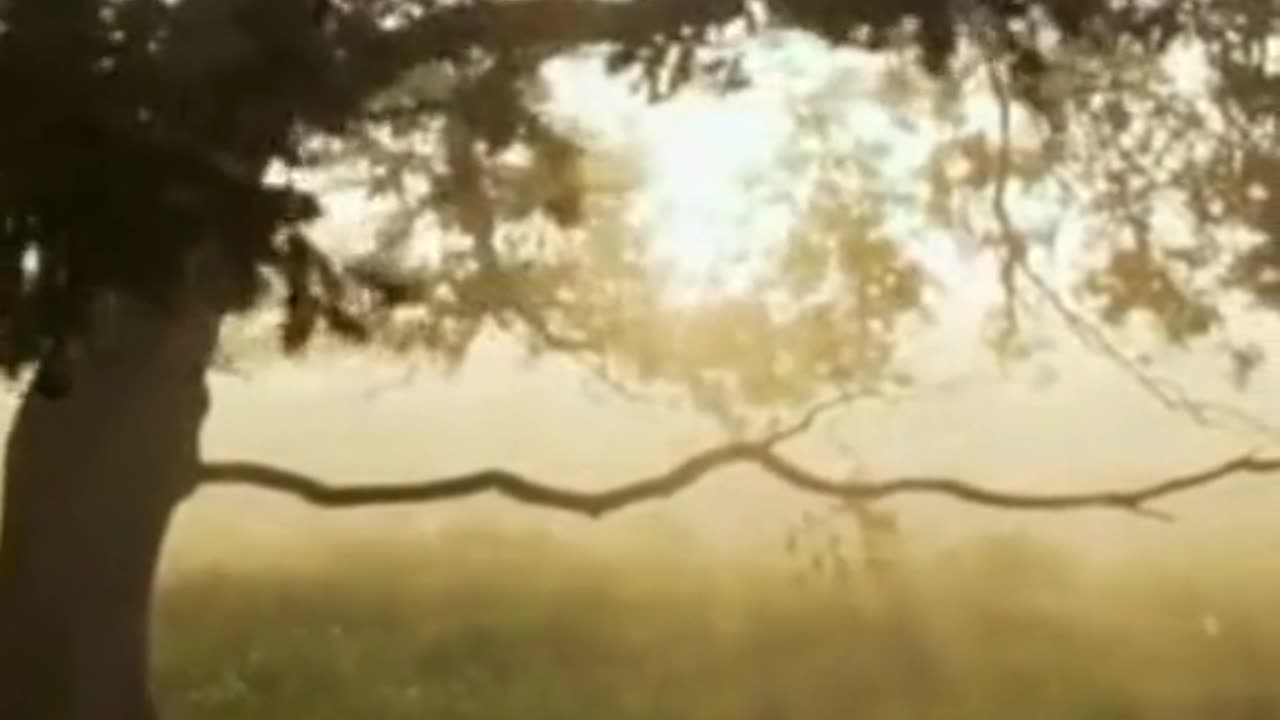 9 Sign's That You Are Chosen one | Chosen Sign's