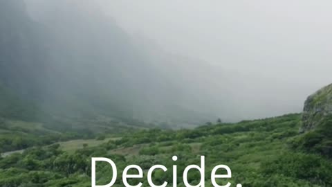 Just Decide