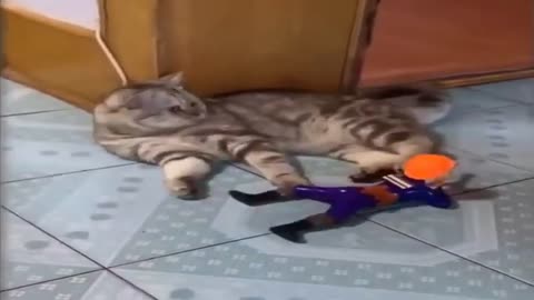 Funniest Dogs and Cats - Awesome Funny Pet Animals Videos | Funny animal videos for laugh 2021