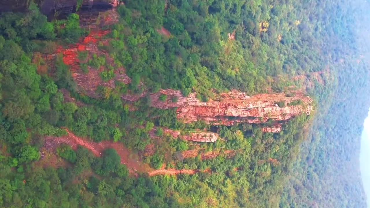 Deep Nallamalla Forest