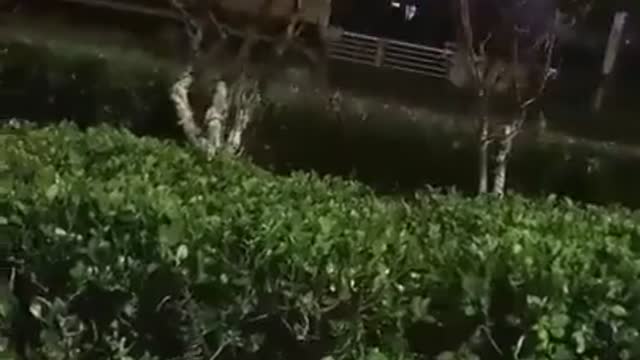 Βγήκαν και τα άρματα στην Κίνα!