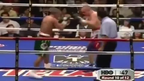 Mejor compilación de karma de boxeo