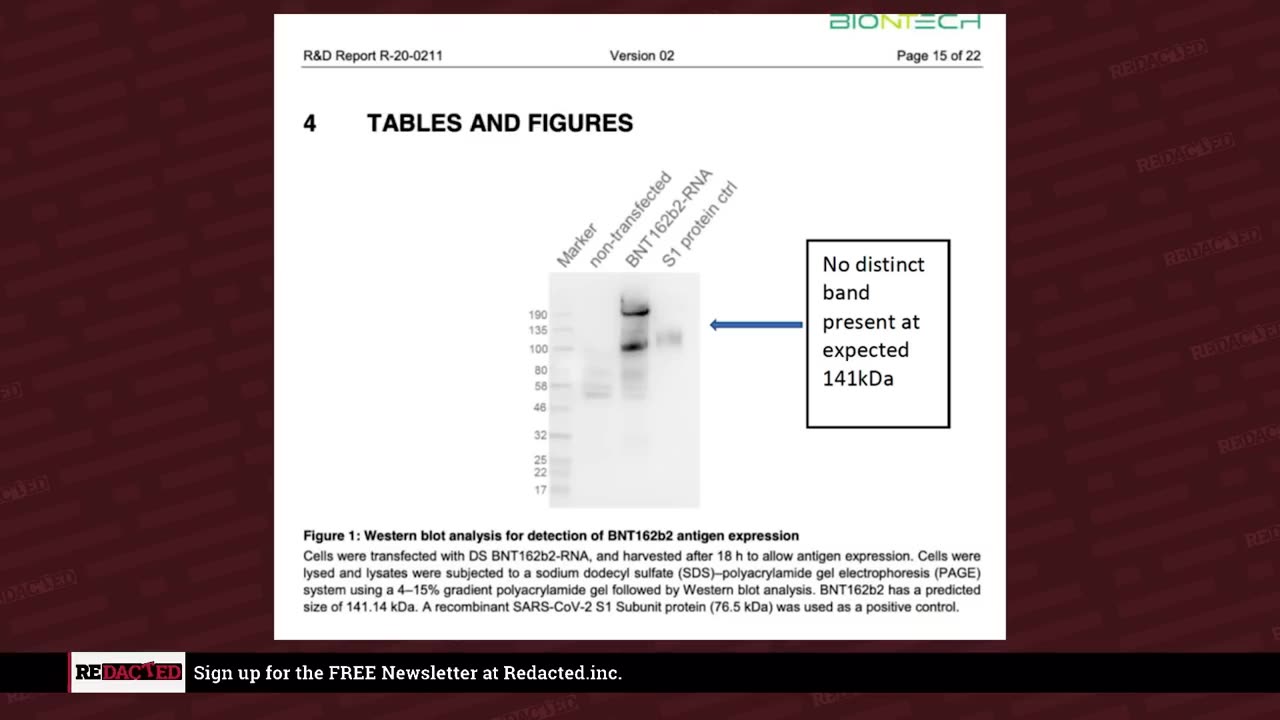 PFIZER FALSIFIED LAB RESULTS TO BRING VAXES TO MARKET