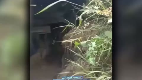Ukrainian Commander Kills His Own Soldiers