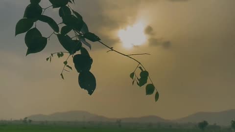 Tere Hawale| Nature Video | ARIJIT Singh