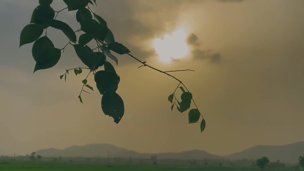 Tere Hawale| Nature Video | ARIJIT Singh