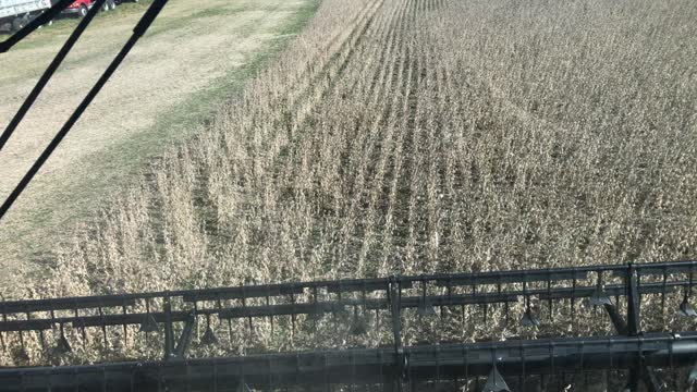 Soybean harvest 2022