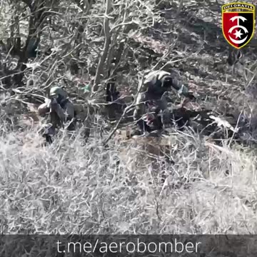 Russians Pick a Fight with Ukrainian Drones and Lose