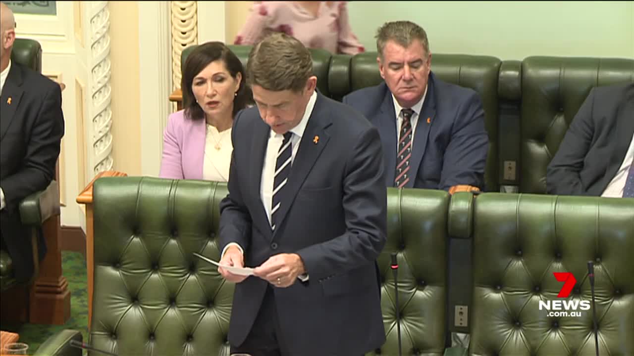 Annastacia Palaszczuk calls on opposition to support Indigenous Voice to Parliament