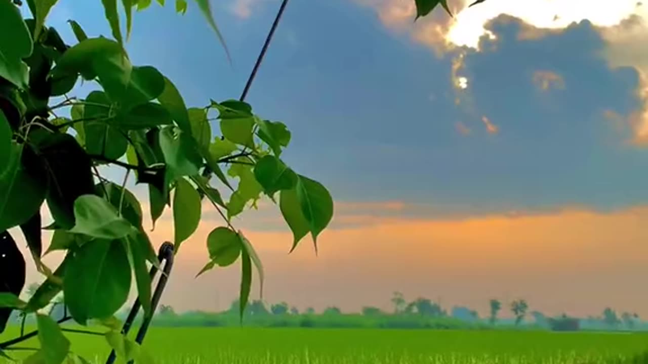 Beautiful weather