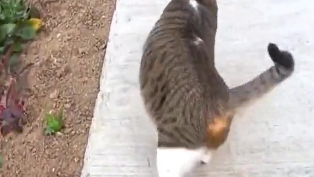 These are top models in internet