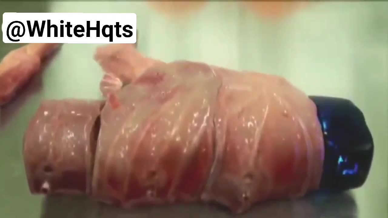 HORRIFYING - The Modularbody - Transhumanism
