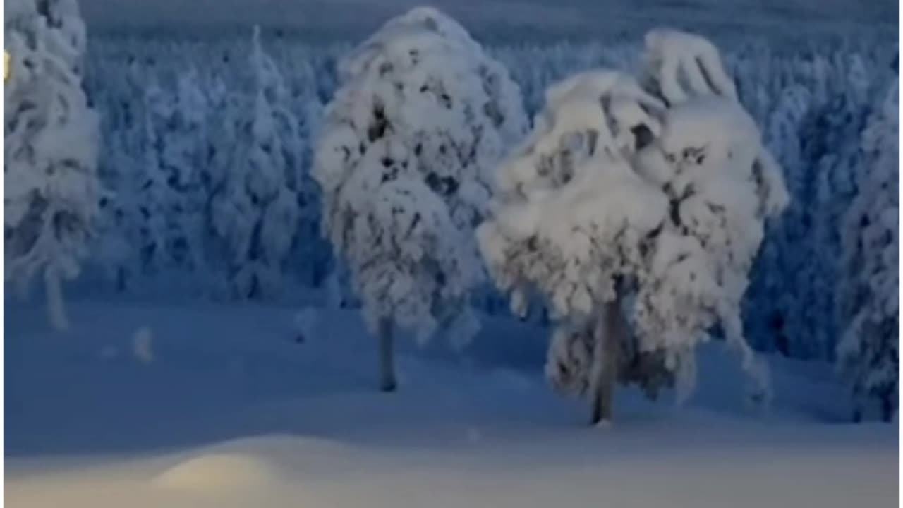 Morning View In Finland 🇫🇮 😍 Nature Hub