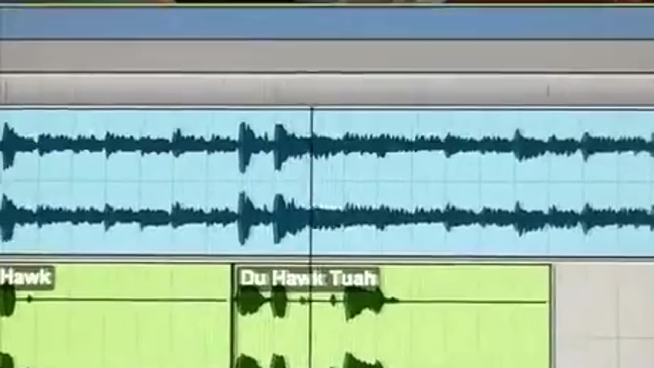 Du, du hawk, du hawk tuah - Rammstein parody