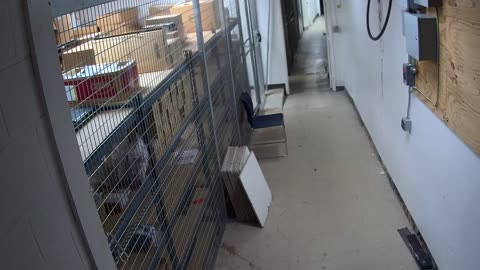 1072RSOBBASRB31QTunnelRearDoors_2021-01-05_18h00min01s543ms.mp4