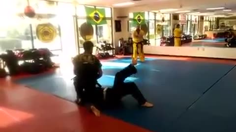 Hapkido