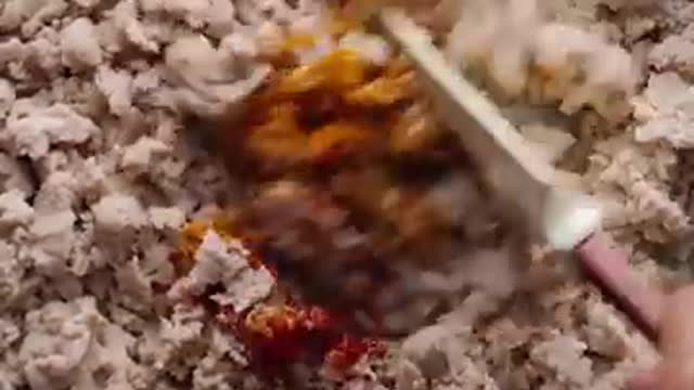 The Next Level Mughlai Porota Recipe