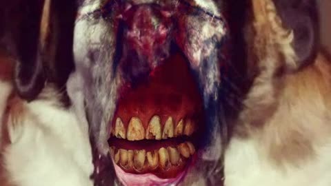 Zombie dog