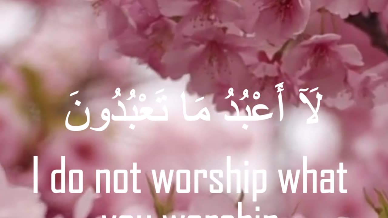 Surah Al-Kafirun (The Disbelievers) - سورة الكافرون | Soothing Voice | #shorts | @BespokeKnowledge