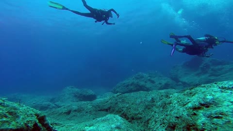 Watch divers in the depths of the sea very interesting and exciting