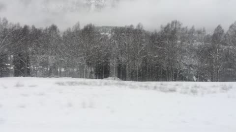 Train journey in Norway (November 2022)