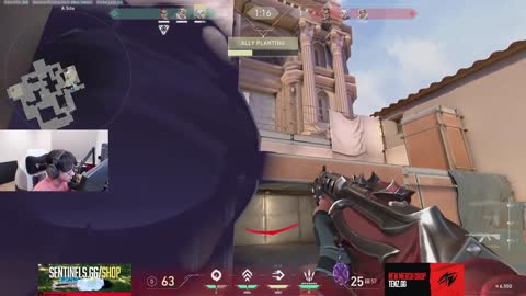 SEN TenZ Crazy Vandal Spray Control