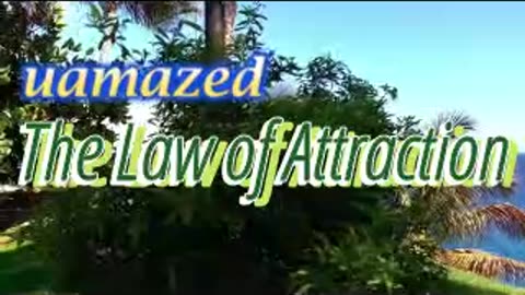 L4Wep244-246.mp4