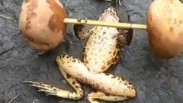 Even frogs take care of their health