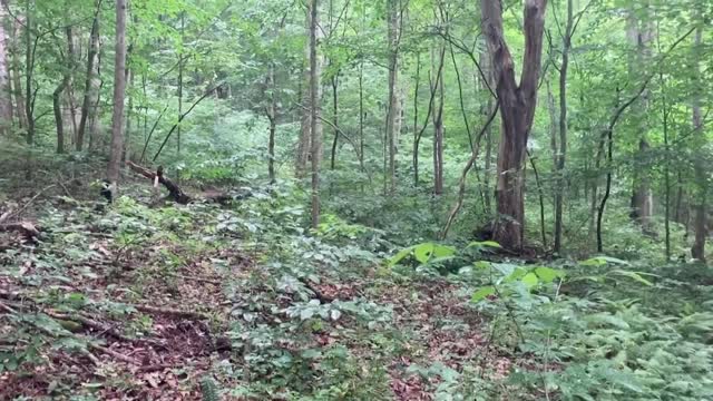 Hidden burial ground for 1912 explosion victims