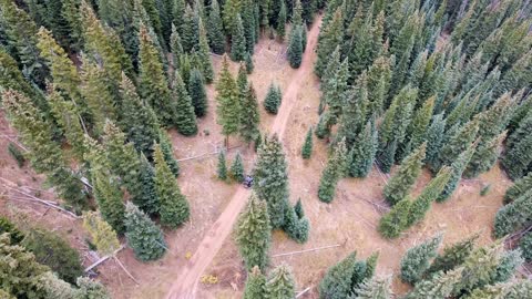 Aerial of jeep wrangler off roading through forest