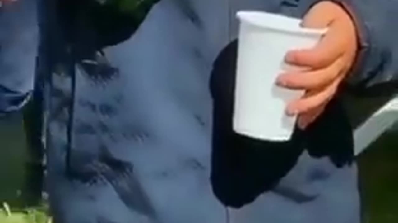 Tarjllit 🥋🤣