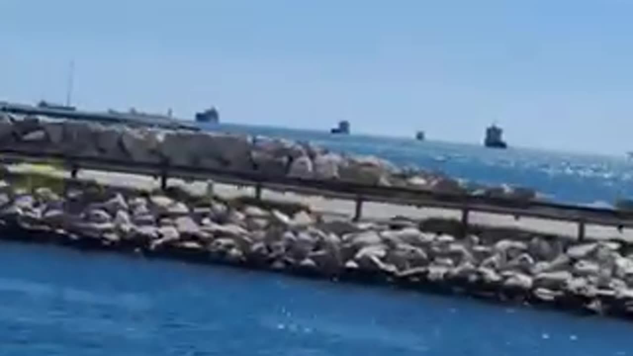 Meanwhile In France 🇫🇷🇺🇸 | #WWG1WGA