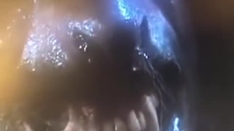 Clip from The Howling.