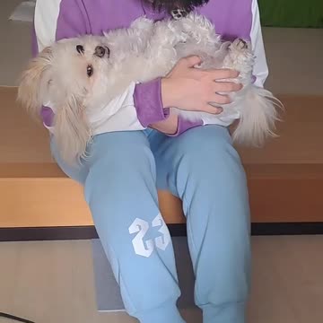 BEST FRIENDS AND・・・