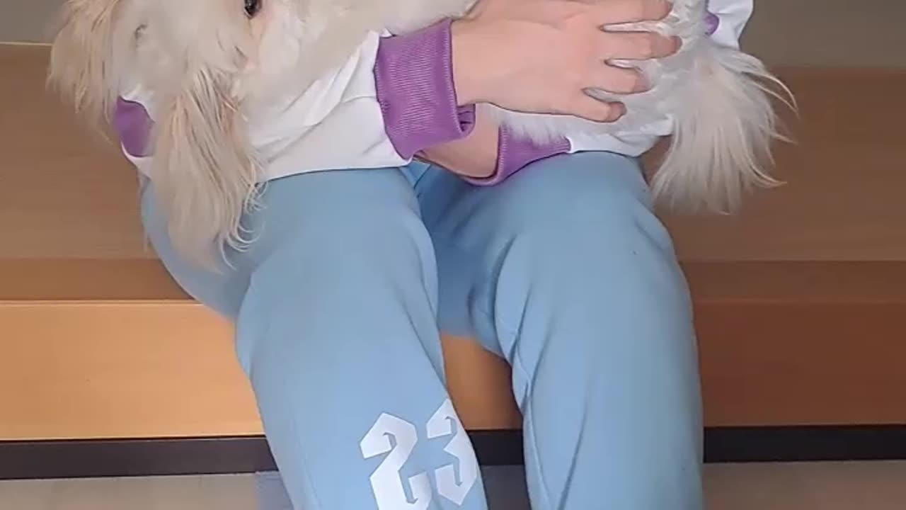 BEST FRIENDS AND・・・