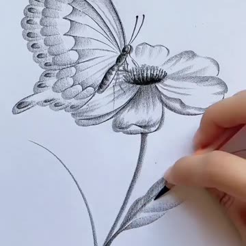 Pencil art ✍️