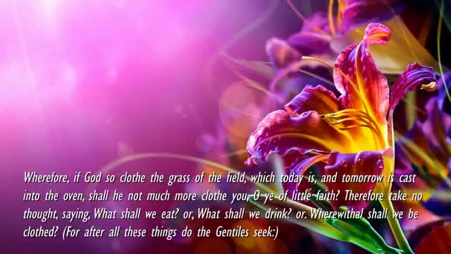 The Lord warns against worldly Thinking ❤️ Jesus explains Matthew 624-34 thru Gottfried Mayerhofer