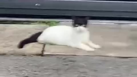 Intimidating and effective Neighborhood watch